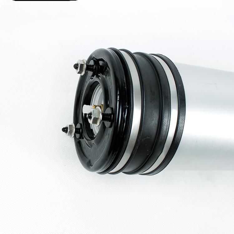 Wholesale Rear Pneumatic Air Bag Spring Suspension for W220 S-Class Auto Parts Manufactures 2203205013