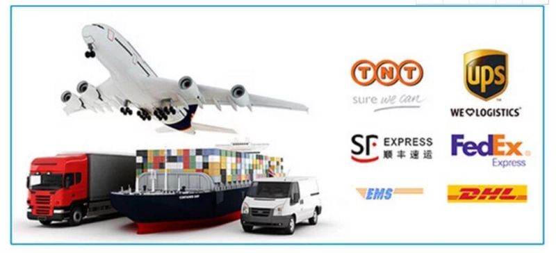 High Quality for Car Steel Coil Spring 52441-Sm4-Y11.