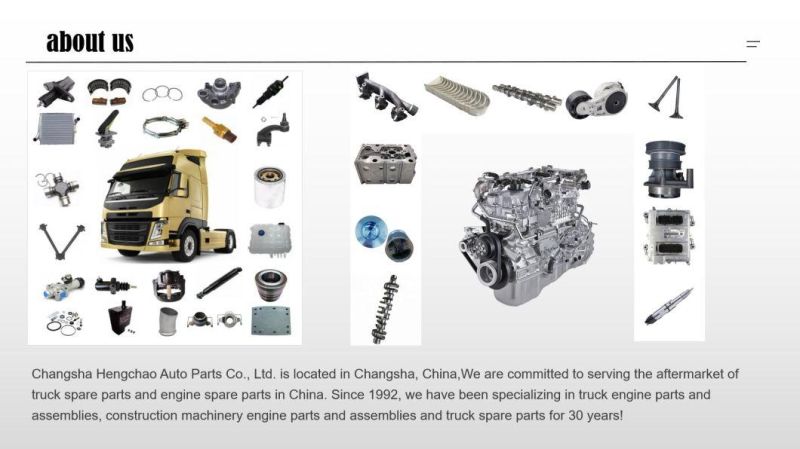 Dong Feng Truck Parts of Body for High Quality--Hydraulic Lock Bolt 5002170-C0100 5002175-C0100