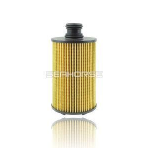 China Auto Car Oil Filter for Benz and Crossblade Car 6711803009