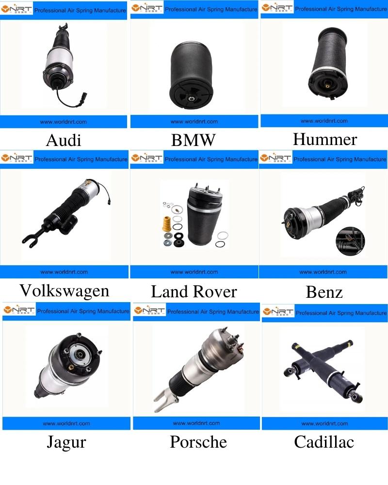 Best Selling Auto Parts Rear Air Suspension for Gmc Yukon Cadillac Chevrolet Lh Rh 25979391