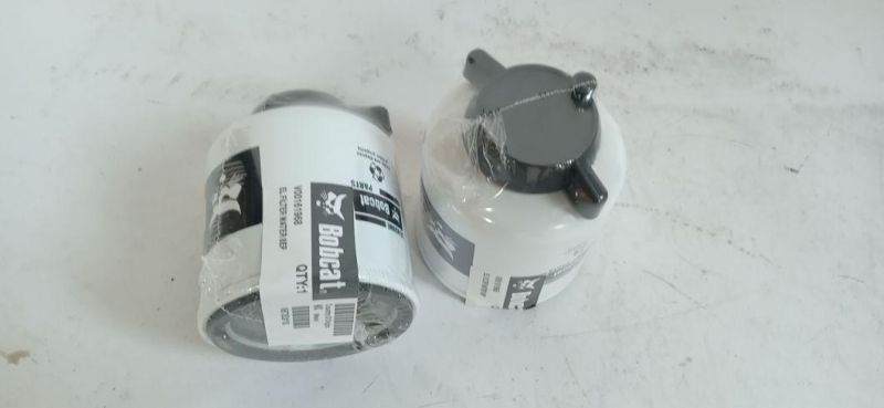 Fuel Filter/Oil Filter 6667352 High Quality for Car