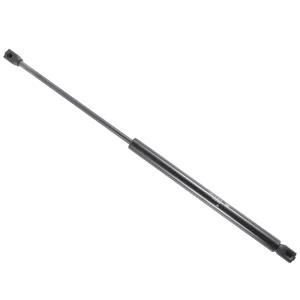 Custom-Made Size Car Tailgate/Trunk/Kit Gas Lift