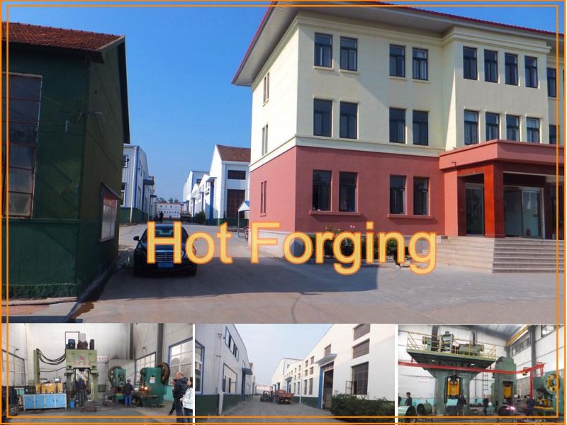 Made in China Customized OEM Hot Forging Universal Cross