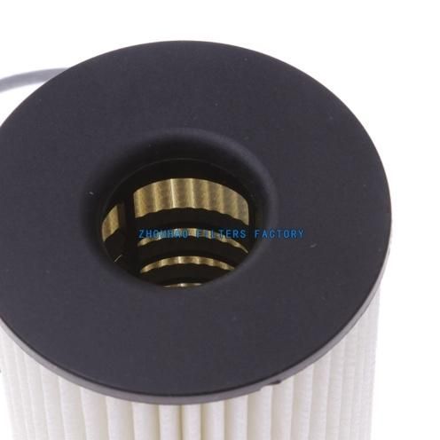 for BMW X5/X6/Gt/750I/550/E71 11427583220, Hu8007z, CH11007 Filter
