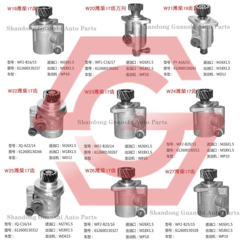 Auto Parts Steering Pump  for Weichai Deutz Wx6-C19/14