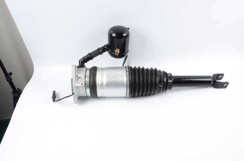 Rear Air Suspension Strut 4E0616001e for Audi A8d3
