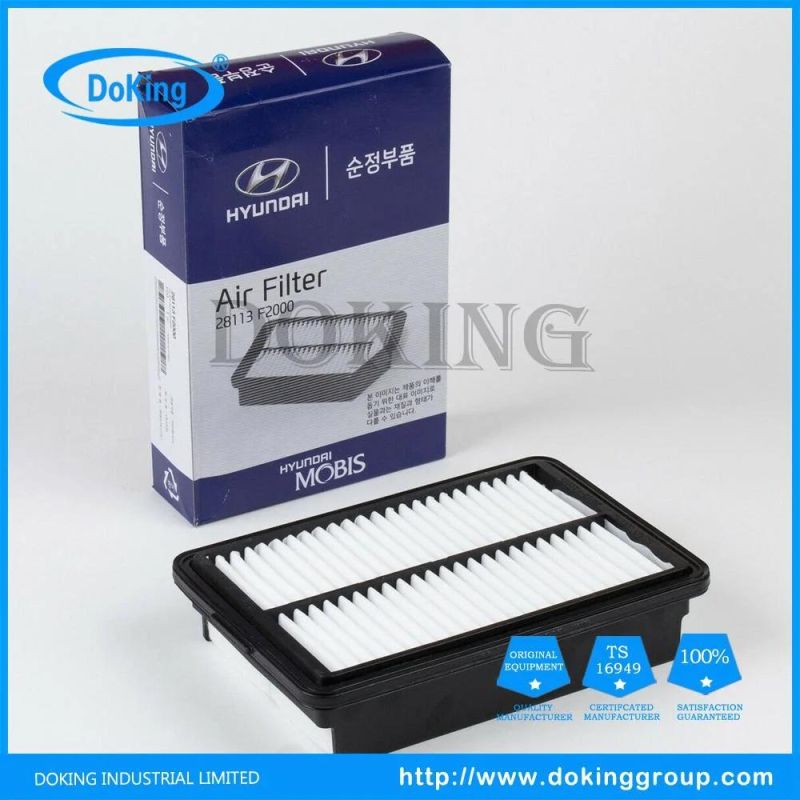Factory Supply Air Filter 28113-0q000 for Hyundai and KIA