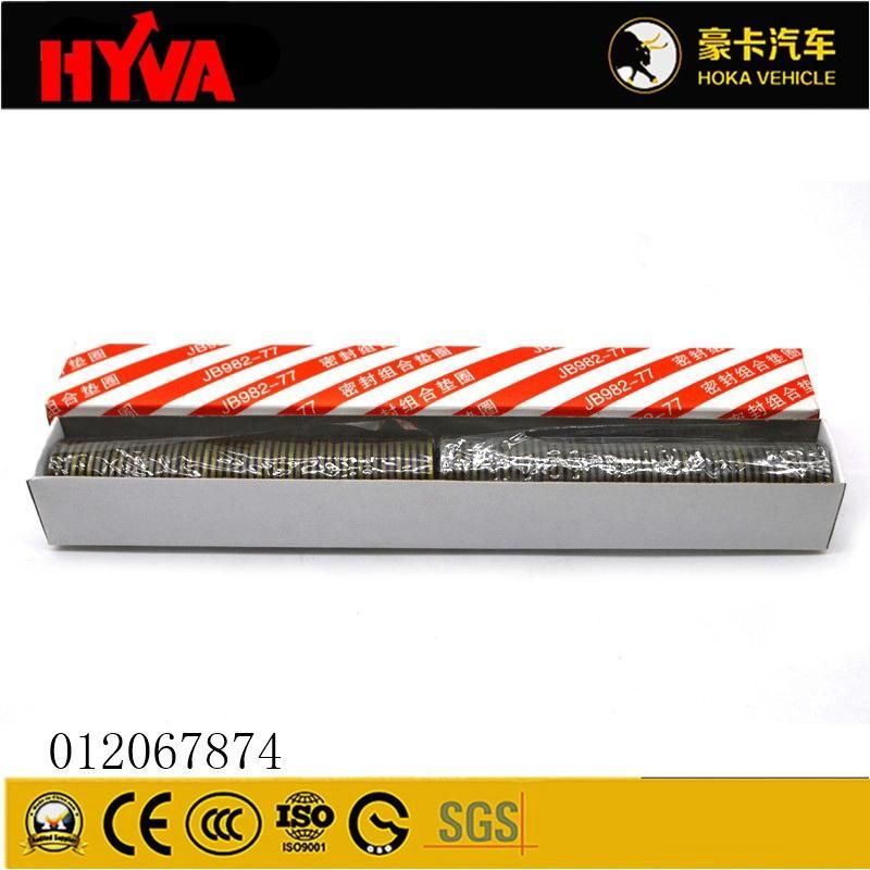 Original and High-Quality Hyva Spare Parts Seal 012067874