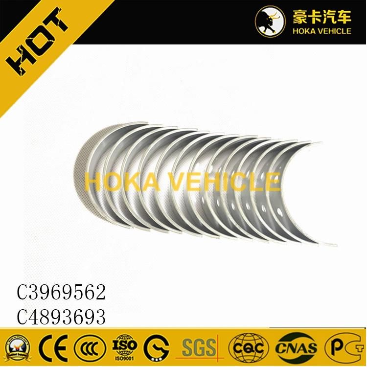 Original Engine Spare Parts Main Shaft Bearing C3969562 for Heavy Duty Truck