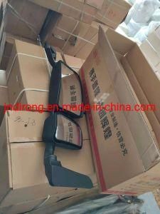Wg1642770001/Wg1642770003 Rear View Mirror Plastic Type Sinotruk HOWO Truck Spare Parts