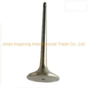 Sinotruck HOWO Engine Wd615 Intake Valve Vg1560051001