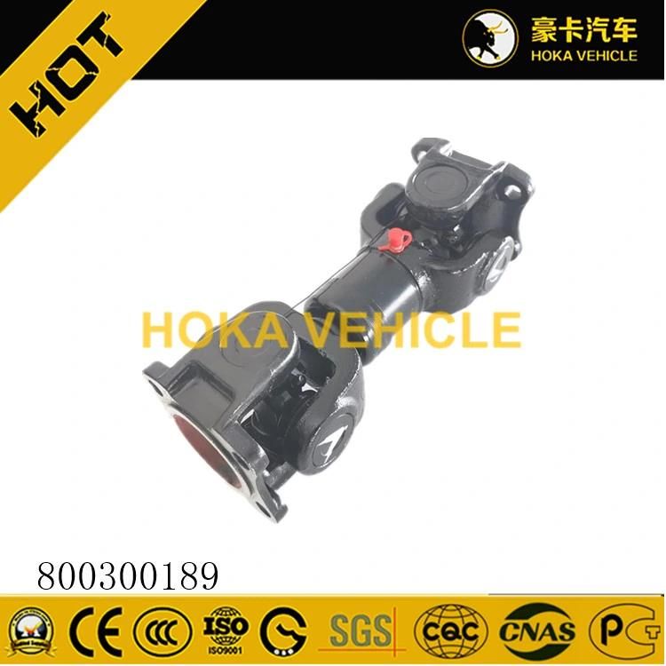 Original 25t Crane Spare Parts Pto 800300189 for Construction Machinery