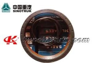 Wg9981340113 190*220*30 Rear Wheel Oil Seal 190*220*30 Forsinotruk HOWO