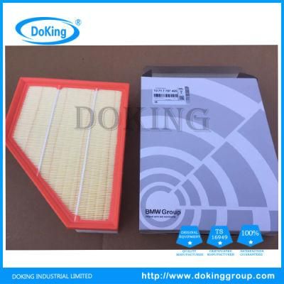 Cars Auto Parts Paper Air Filter OEM 13717797465 for German Car