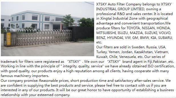 17801-0c010/Xtsky Air Filter with High Quality (17801-0C010)