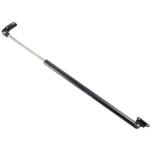 Piston Rod Gas Spring for Vehicle