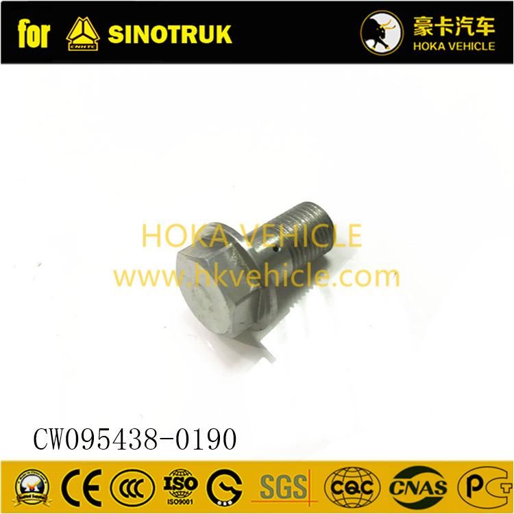 Original Sinotruk HOWO Truck Spare Parts Hollow Screw Cw095438-0190 for All Sinotruk Heavy Truck