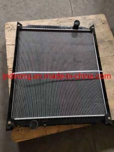 Wg9719530276 Radiator Sinotruk HOWO Truck Spare Parts