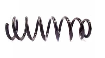 OEM Custom Compression Load Steel Engine Part Coil Truck Auto Valve Springs