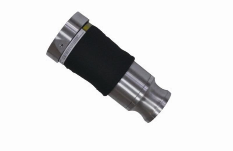 Front Air Spring for Audi A6