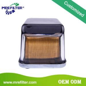 Customized Truck Spare Parts Supplier Price Auto Fuel Filter for John Deere Engines Ar50041
