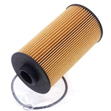 High Quality Oil Filter for Car 11421745390 E202h01d34 Ox152/1d Hu938/4X