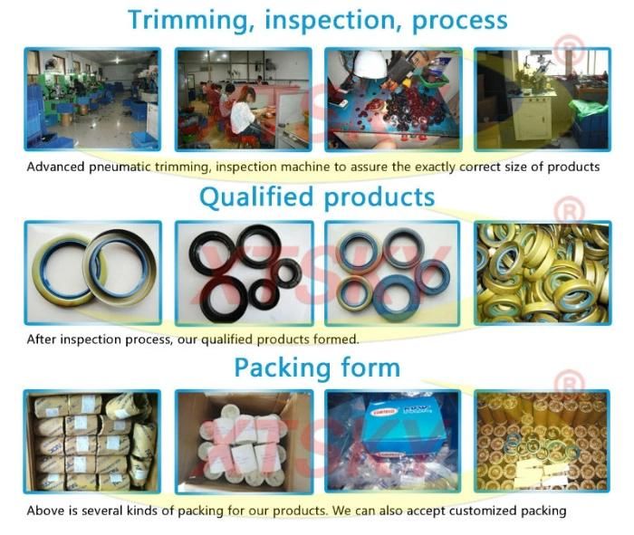Auto Parts Floating Oil Seal (EX100)