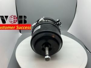 T24/30dp Disc Brake Chamber 21752603 21752602 1912988 1912989 1916992 1915986 1912987 1451537 1451539 Renault 7422096491 7422096490