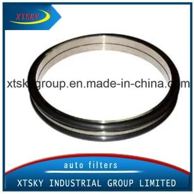 Auto Parts Floating Oil Seal (EX100)