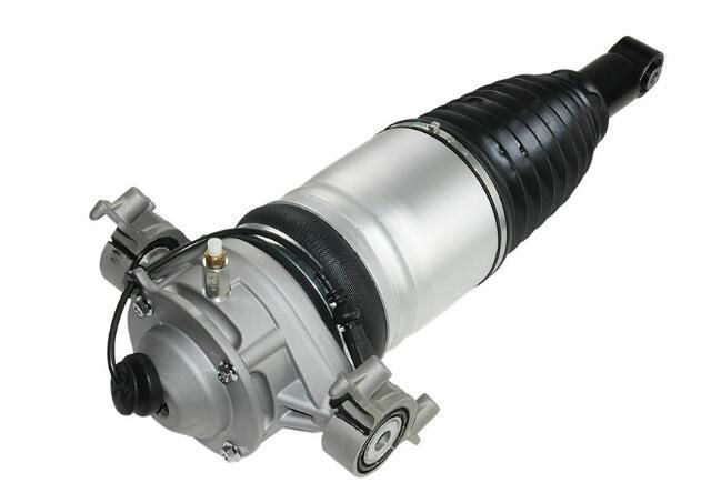 2010-2014 Cayenee Rear Air Suspension Shock 95835801900, 9583580200