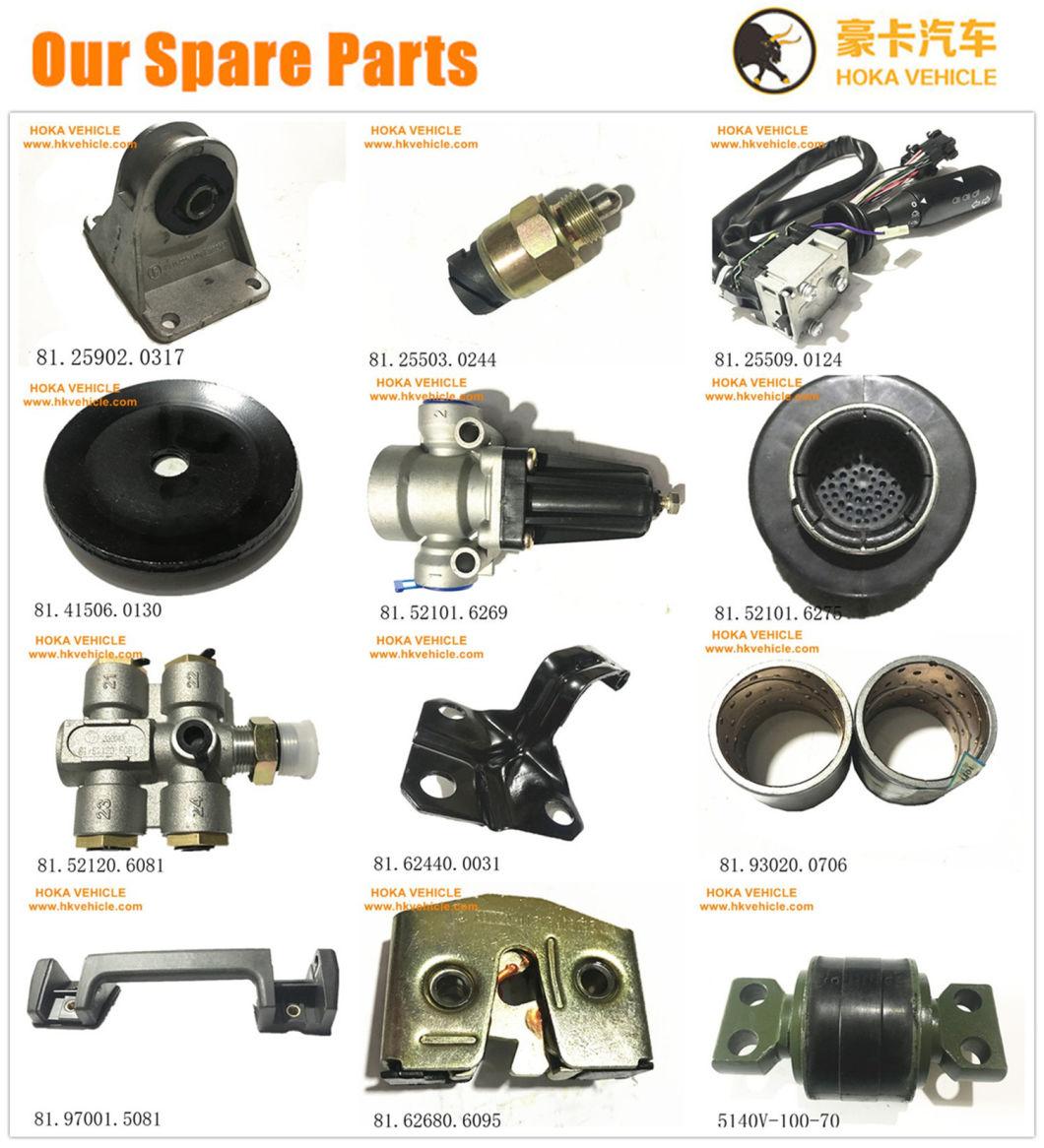 Original Sinotruk HOWO Truck Spare Parts Hollow Screw Cw095438-0190 for All Sinotruk Heavy Truck