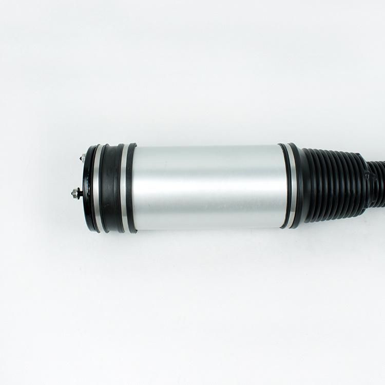 Wholesale Rear Pneumatic Air Bag Spring Suspension for W220 S-Class Auto Parts Manufactures 2203205013