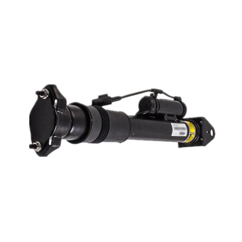 Auto Parts Hot Sale W251 V251 Rear Air Strut Shock Absorber with Ads 2513203031 2513203131 for Mercedes R Class