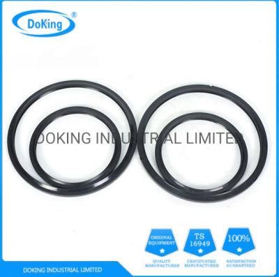 Direct Factory OEM/Standard Viton O-Ring