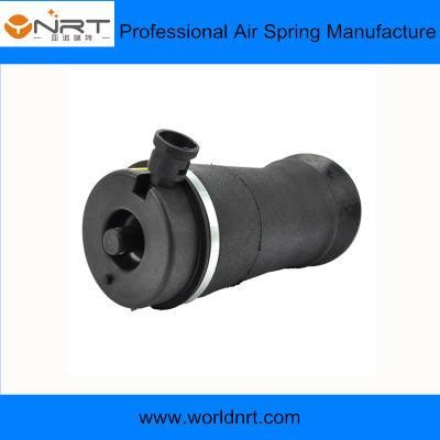 Auto Parts 3u2z5580ka Best Quality Air Suspension Bag Absorber for Ford Expedition 2WD Top Sale