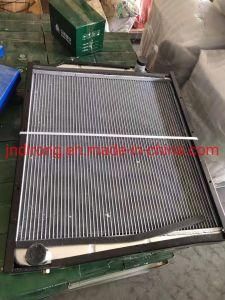 Shacman Dz91125532888 Radiator Plastic Type Shacman Truck Spare Parts