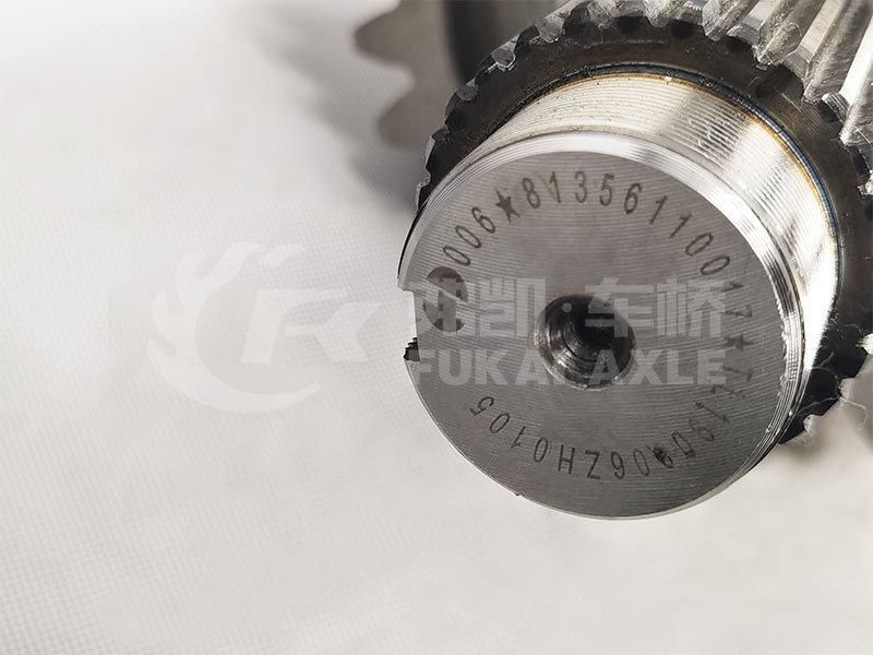 81.35100.6599 Shacman Delong Truck Spare Parts Differential Assembly
