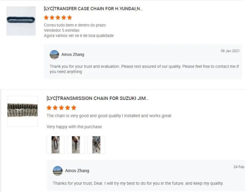 High Quality Factory Price Auto Parts Transfer Chain Front Drive 36293-34010 322A0005 Mr477432 for Japanese Car