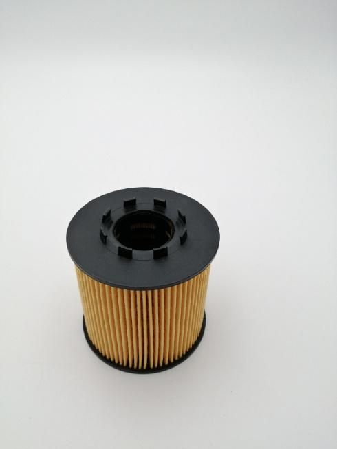 Oil Filter 93184133 93160657 9201435 1520900q0b Hu923X 1520900qaa 4415941 7701479124 Fa5619eco 8200004835 7700109402