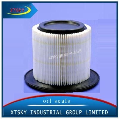 Air Filter for Aftermarket (25313796)