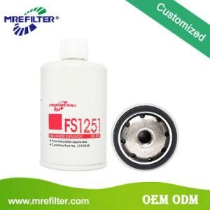 Auto Parts Diesel Engine Fuel Filter for Daf Truck Fs1251