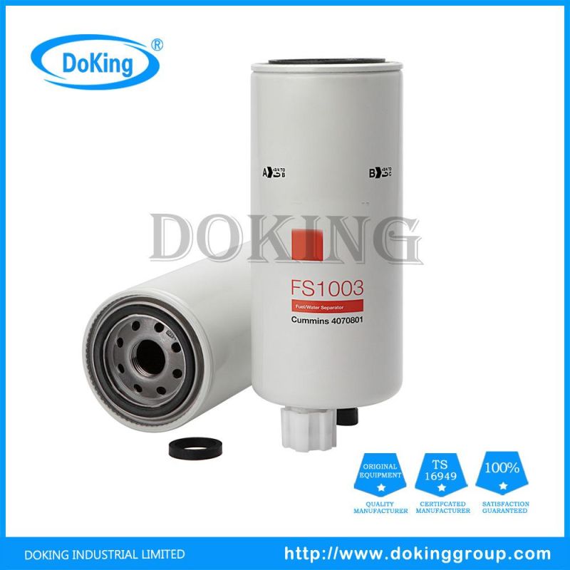 Wholesale Price Auto Parts Fuel Filter Fs1003 for Excavators/Diggers