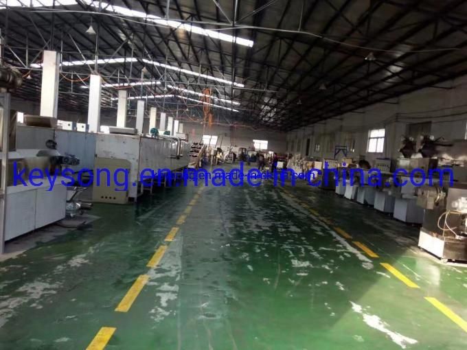 Potato Chips Full Production Line Food Processing Machinery