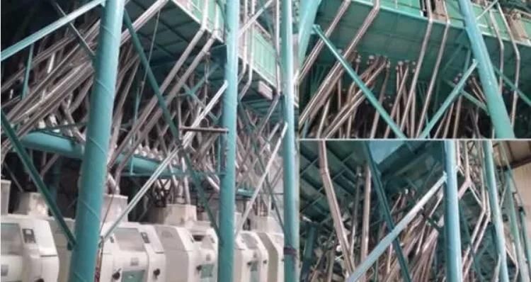 European Standard 120t/24h Wheat Flour Mill Plant in Ethoipia, Algeria, Egypt