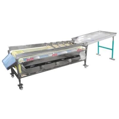 Factory Price Fruit Sorting Machine Industrial Citrus Fruit Sorting Machine