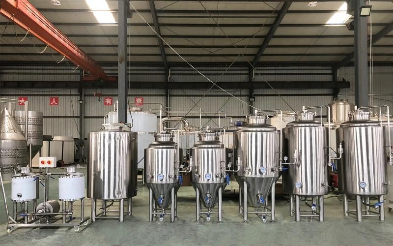 Cassman 200-500L Fermentation Tank Kombucha Brewing Equipment
