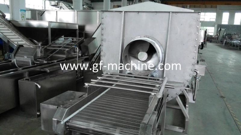 Industrial Blancher Potato Blanching Machine Spiral Type