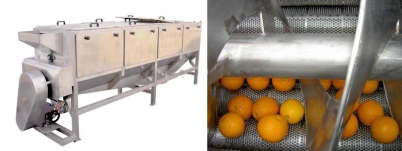 Citrus Fruits Essential Oil Extractor