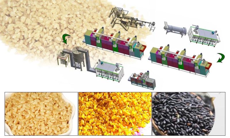 2021 Food Business Double Screw Extrusion Artificial Fortified Rice Making Process Machine Jinan Dg Machine Company